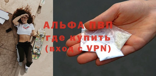 гидра Бородино