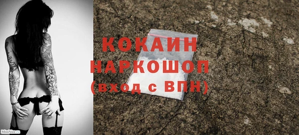 молекула духа Осташков
