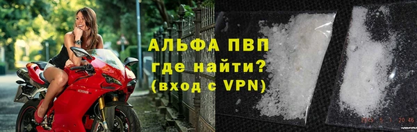 стафф Осинники