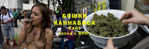 стафф Осинники