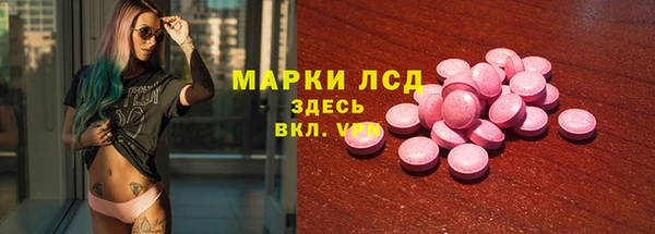 гидра Бородино